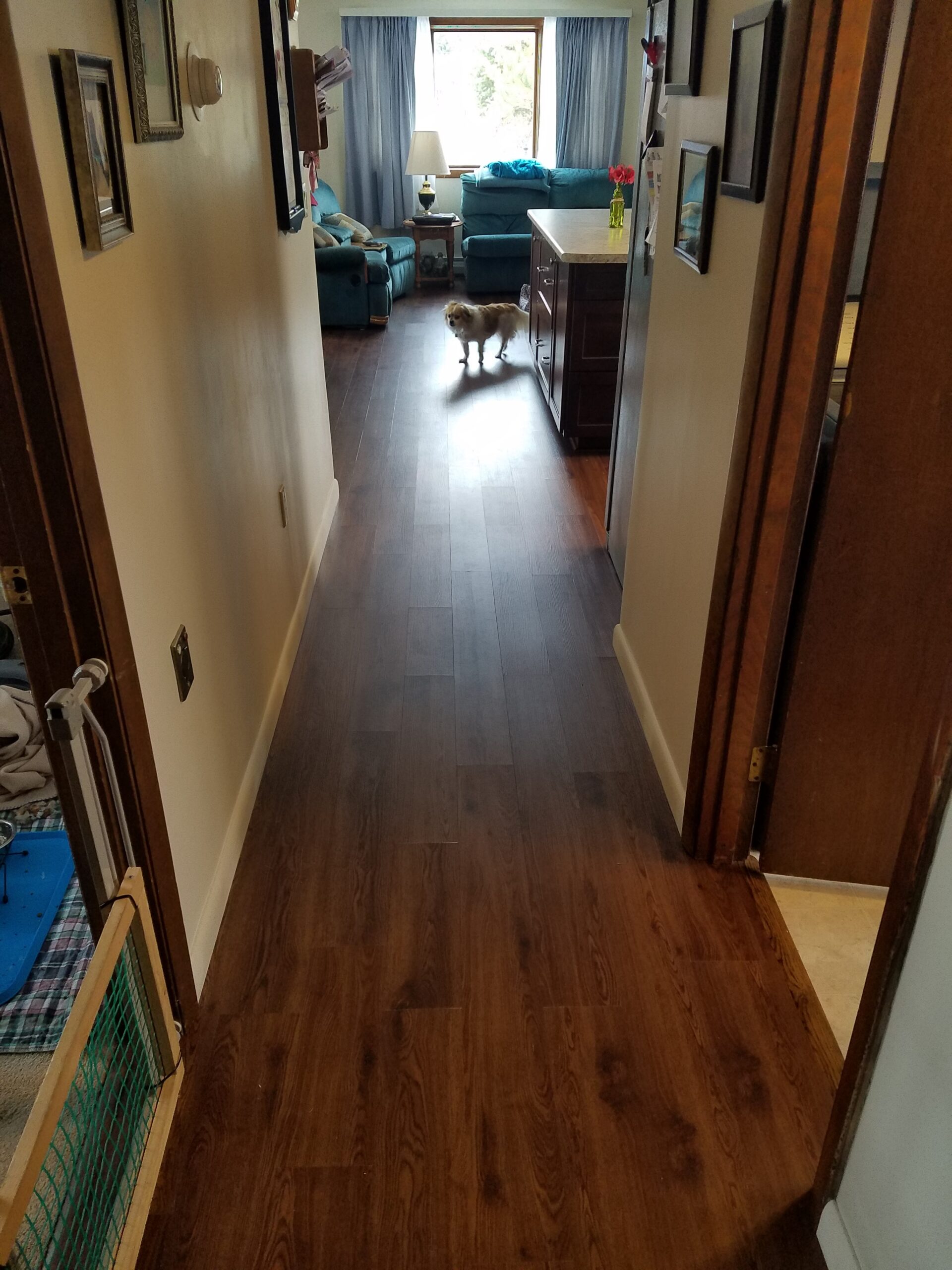 https://gcrenovationmaine.com/wp-content/uploads/2021/01/20161223_103308-scaled.jpg